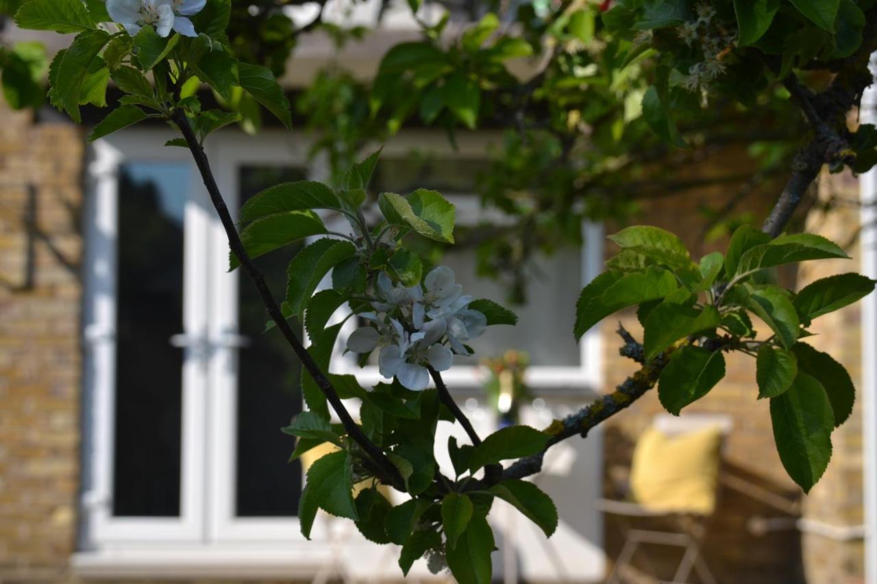 Epicsa - Family & Corporate Mews With Free Parking